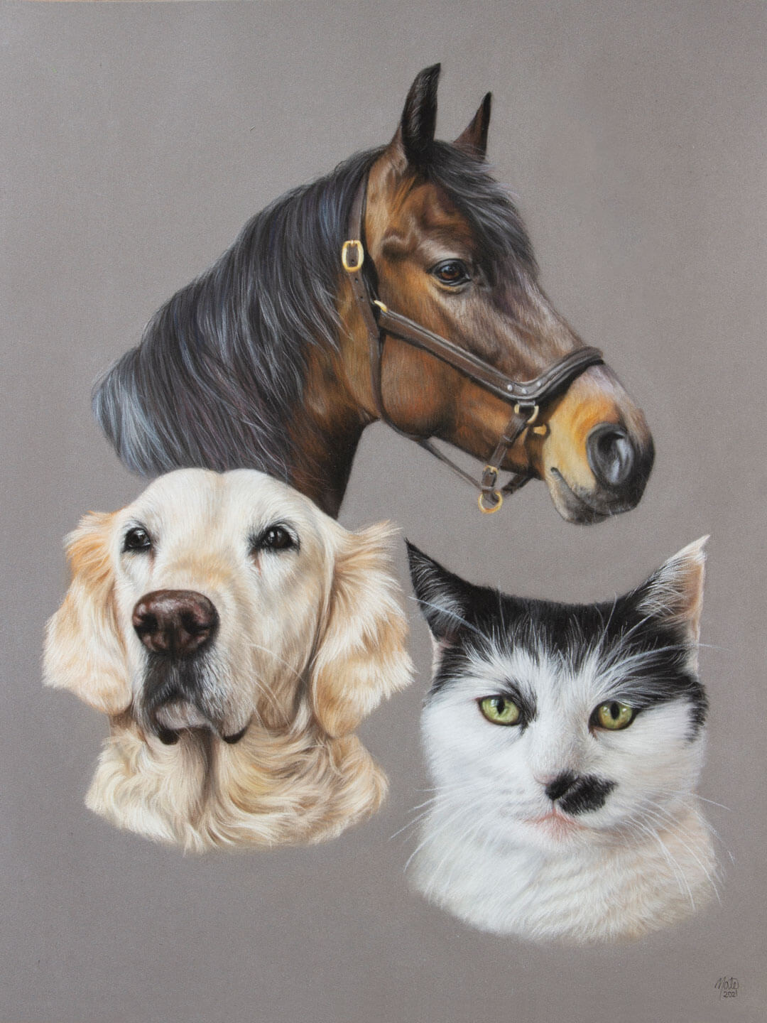 At hoppe Gammeldags Sprængstoffer Galleri - Se mine tegninger af heste, hunde og andre dyr | By Mate